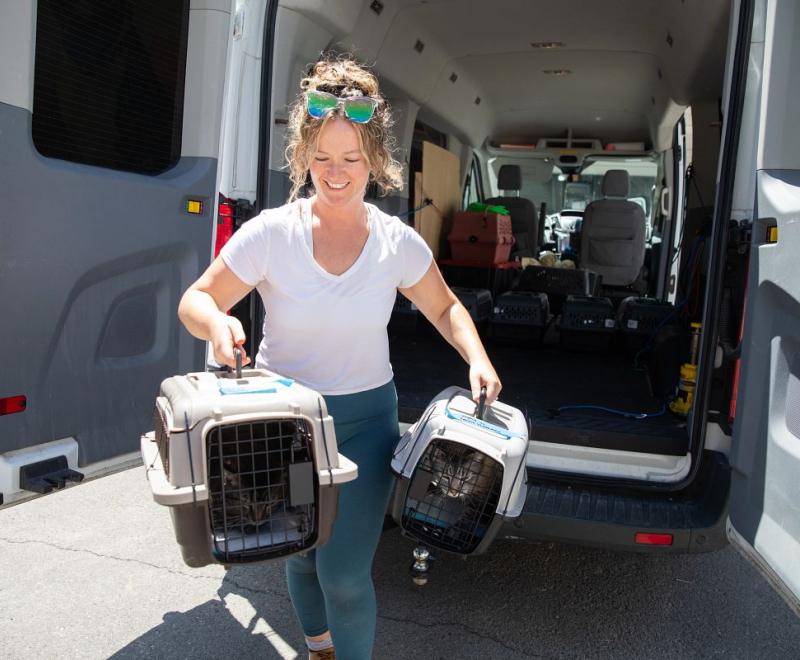 Person transporting two crated cats from a van.